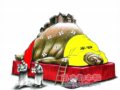 �������й����ز�����Ӧ�Ծ�סȨΪ������