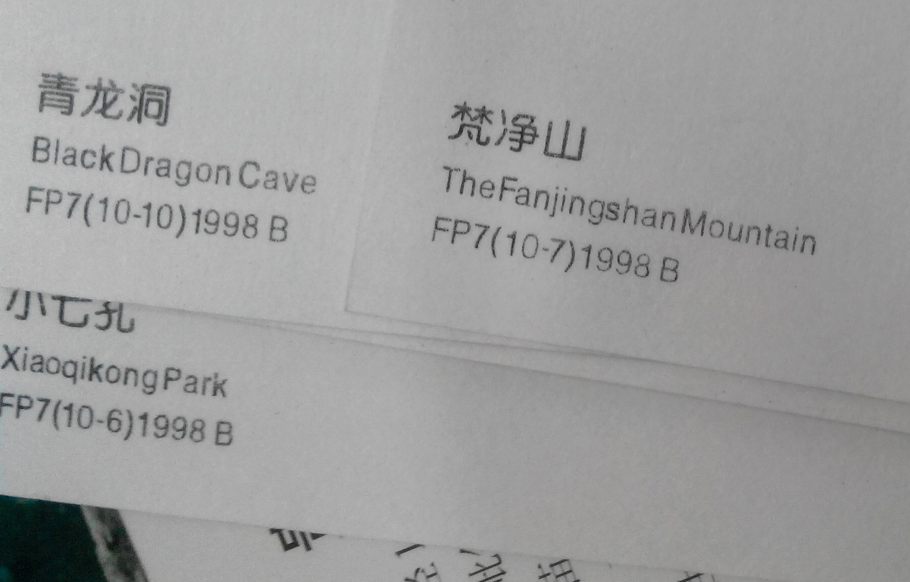 dvubb 图片点击可在新窗口打开查看