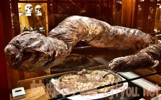 �᳦���ްԣ����Ȳ���һ�ף����ڵ������Ϊ����