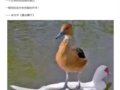 ��˹���۲죺����ͳ�ƣ���һ����Щ���Ƿ���ߣ����ɻ���