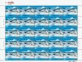 �������й�(2)ĵ����ѩ�硷��Ʊ�����100�����