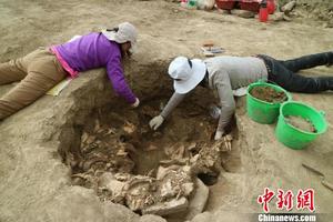 ������Ա�ڷ�������������ʡ�����о�Ժ��ͼ