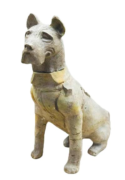 ���ɽ������Ĺ�����չ�