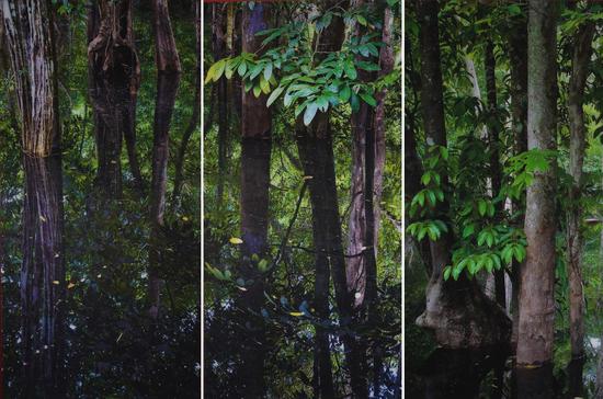 Claudia Jaguaribe ���ҿ���ϵ�� ��ɫϴӡ 180��90cm��3 2015