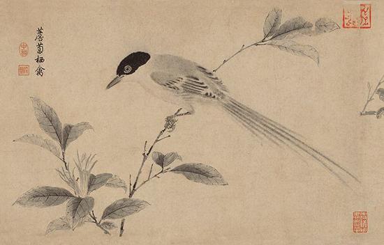 ��٥��д������ͼ��