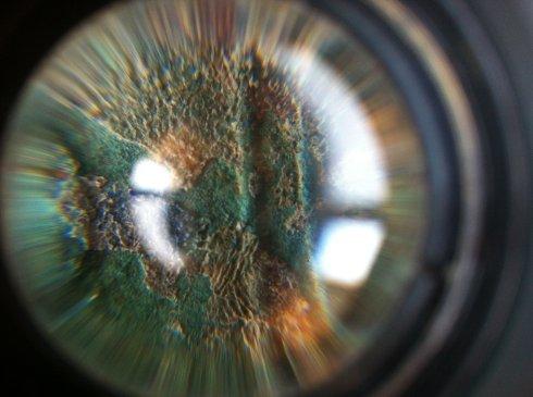 ͬ���������ֵ������ֵ��Ƚϣ�