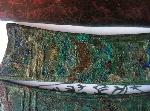 ��΢�գ��ɼ��������������֯����µľ�γ�ۼ�