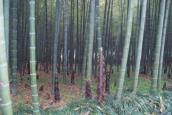 ��ʵ�����е�����