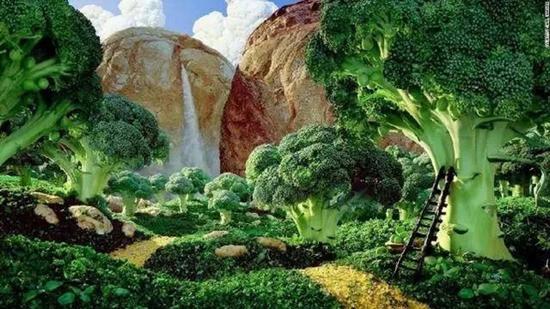 Ӣ�������ҿ�����������Ʒ