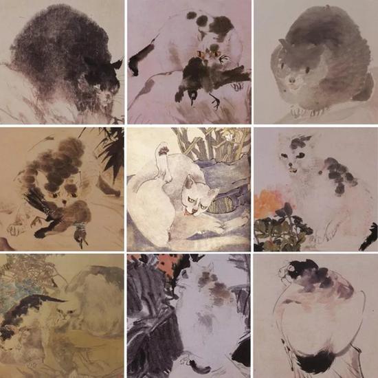 ����Ϊ��