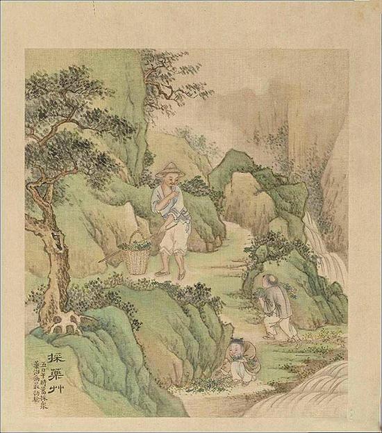 ����������ҩ�ݡ�