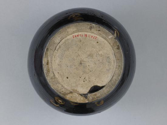 ���Ժֲʻ�����С��ƿƿ��