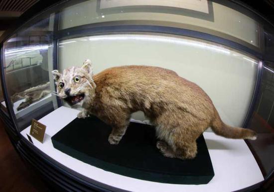 ͼƬ���Ϻ��Ƽ����ṩ