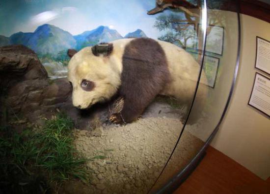 ͼƬ���Ϻ��Ƽ����ṩ