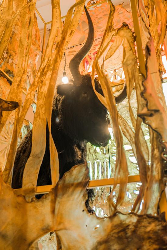 ��ͨ���������ֲ���