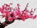 ��Ʊ��������Ʒ������������˸���ô�죿