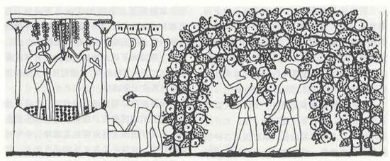 �Ű����ڻ� Լ��Ԫǰ1400�� ���ѾƵ�����չʾ