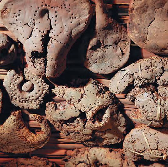 ����������18��������ʦ������Ĺ�з��ֵ����