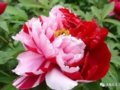 ˮ�L�������й������������Ʋ��䣬��ȵ���������ʹ��Ҳ���ϳ�����