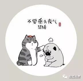 ͼƬ´ڴ򿪲鿴