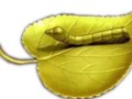 ̽ͭƾʲôΪʷݵ֮
