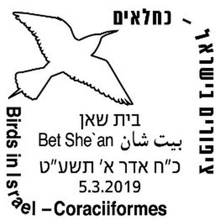 ɫ2019ϰʴ