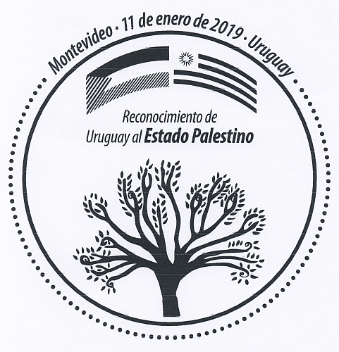 2019ϰʴ
