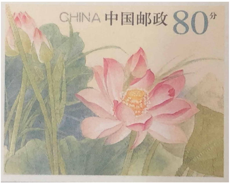 a06c3e9e3a.png image.png