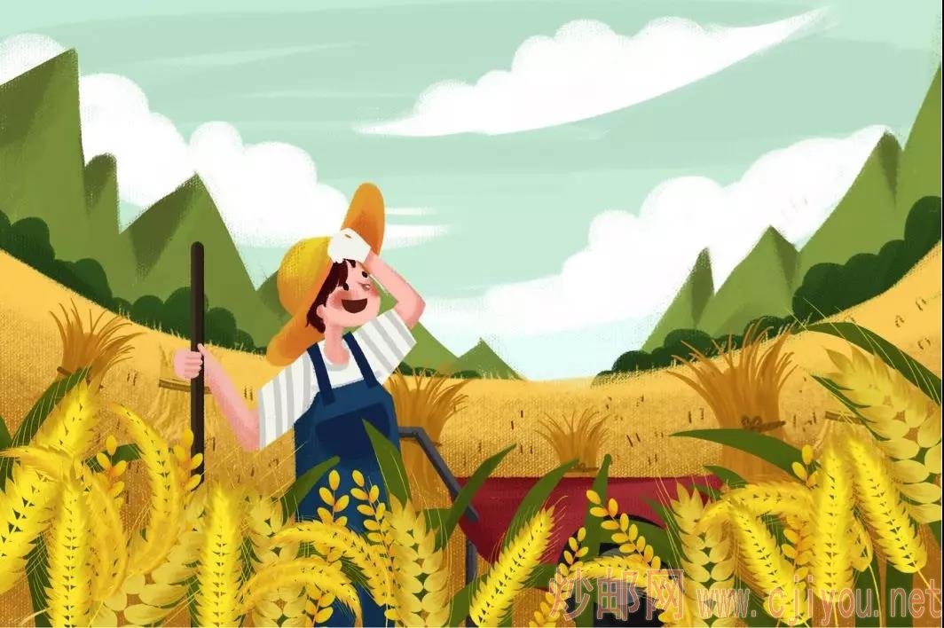 芒种节气什么意思 19103019493208.jpg