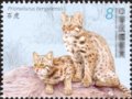 ���塰ʯ������Ʊͼ�幫����4��13�շ���